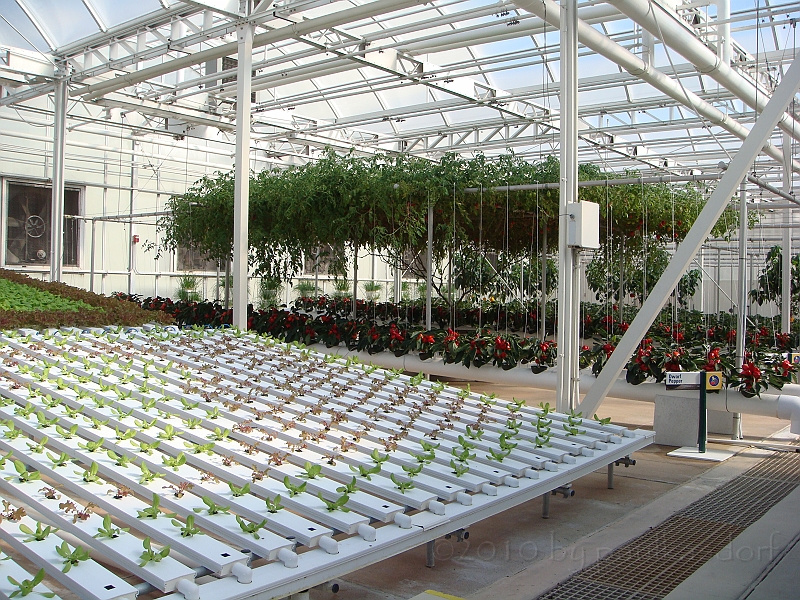 Florida [2010 Jan] 201.JPG - Scenes from EPCOT at Disney World